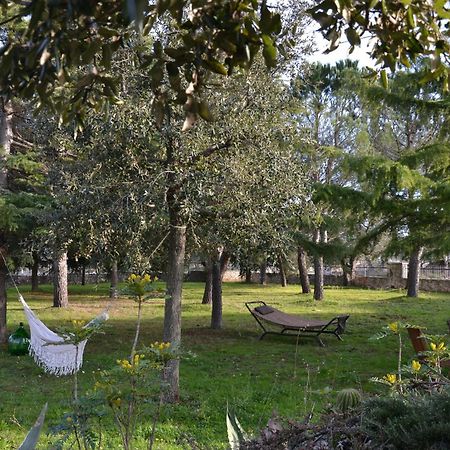 Margherita Apartment - Villaggio Di Mary โลโกโรตอนโด ภายนอก รูปภาพ
